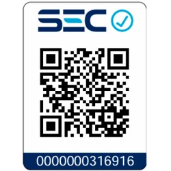 LLAVE CHICHARRA 1/4" 12V MAXCXT 47,5NM 0-800RPM WR100DZ MAKITA