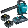 Soplador-Aspirador 18Vx2 (36V) 13,4M3/Min 2 Bat.Li DUB363PT2V Makita