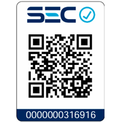 LLAVE CHICHARRA 1/4" 12V MAXCXT 47,5NM 0-800RPM WR100DZ MAKITA